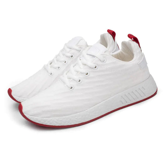 Men's Casual Athletic Sneakers and Skate Shoes